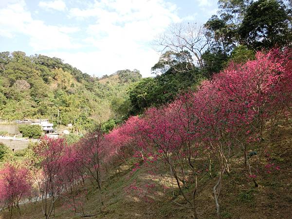 CIMG1890.JPG CIMG1890.JPG