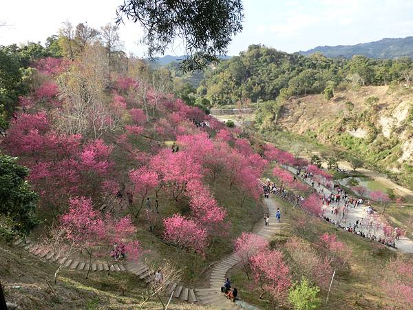 CIMG1892.JPG CIMG1892.JPG