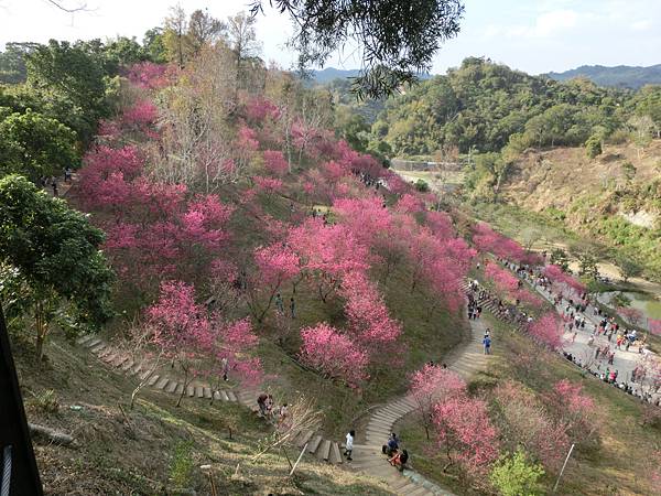 CIMG1893.JPG CIMG1893.JPG