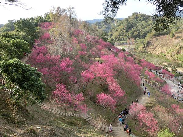 CIMG1896.JPG CIMG1896.JPG