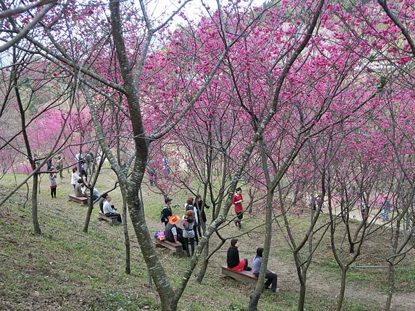 CIMG1906.JPG CIMG1906.JPG