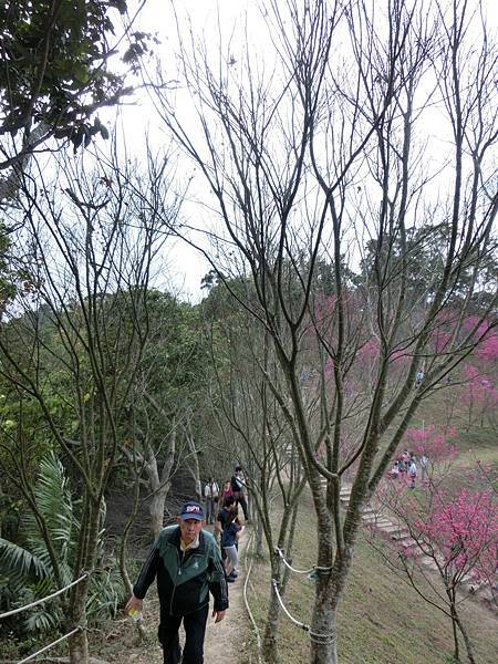 CIMG1910.jpg CIMG1910.jpg