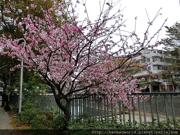 CIMG2198.JPG CIMG2198.JPG