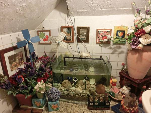 CIMG2381.JPG CIMG2381.JPG