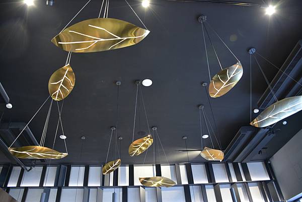 DSC_0227.JPG DSC_0227.JPG