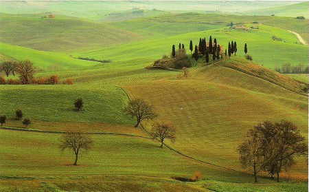 掃描0045 (450x279).jpg