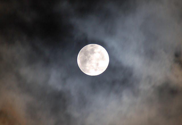 DSC_8182-zoom.JPG DSC_8182-zoom.JPG