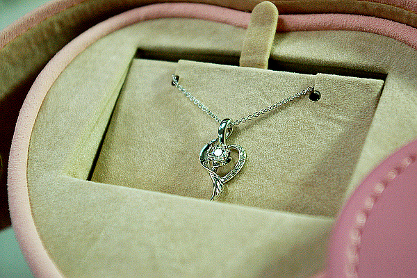 IMGP7041.JPG IMGP7041.JPG