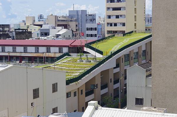 IMGP6938.JPG IMGP6938.JPG