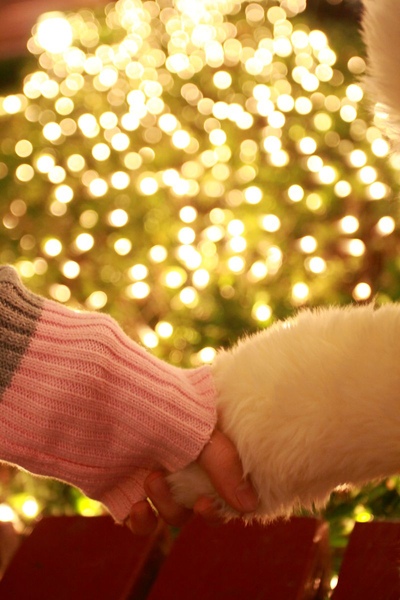 IMG_6860.JPG IMG_6860.JPG