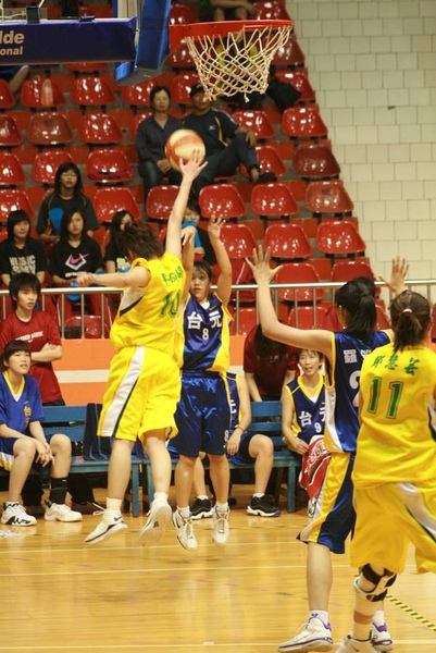 IMG_3390.JPG IMG_3390.JPG