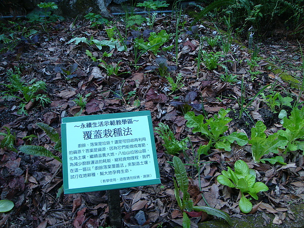DSC08303_調整大小.JPG DSC08303_調整大小.JPG