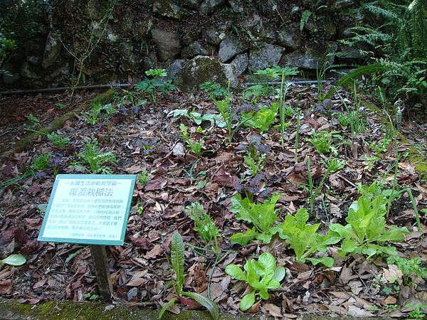 DSC08301_調整大小.JPG DSC08301_調整大小.JPG