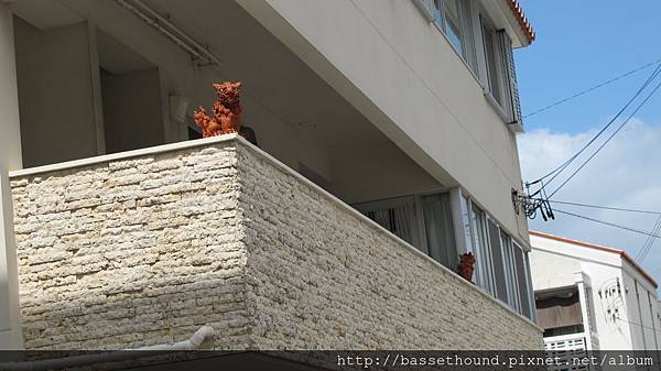 IMG_2930 IMG_2930