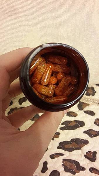 10554980_10204162026559005_1157478186_n 10554980_10204162026559005_1157478186_n