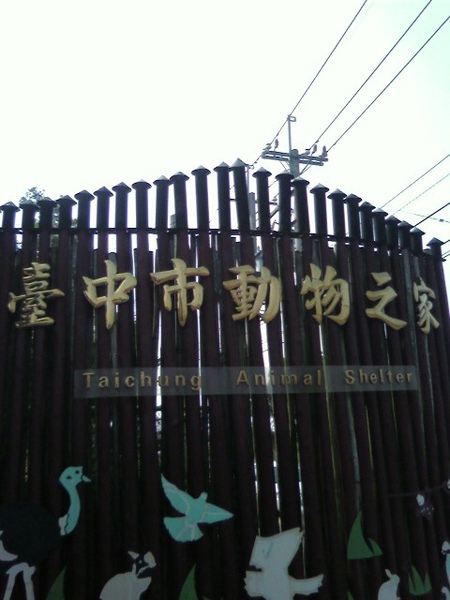 臺中市動物之家 臺中市動物之家