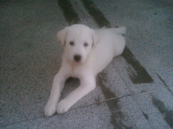 相片0073.jpg 相片0073.jpg