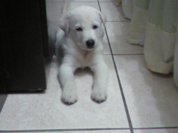 相片0254.jpg 相片0254.jpg