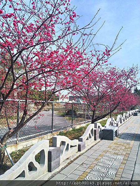 P_20150210_092808_HDR