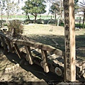 DSCF9771.JPG