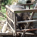 DSCF9779.JPG