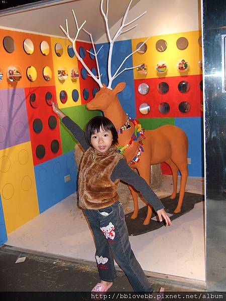 DSCF5726 DSCF5726