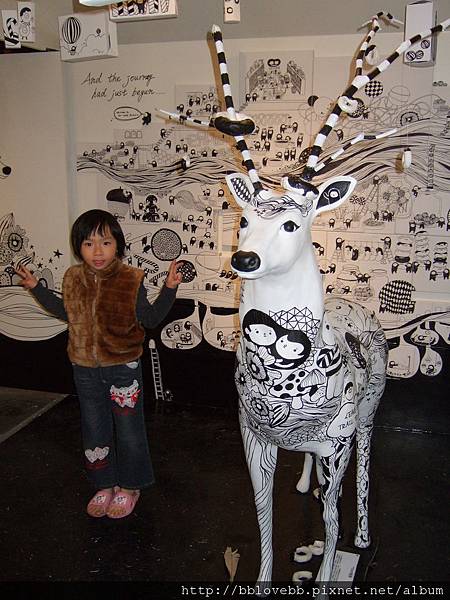 DSCF5737 DSCF5737