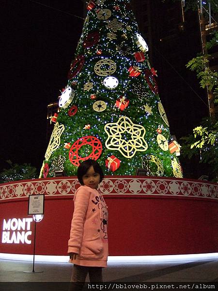 DSCF5905 DSCF5905