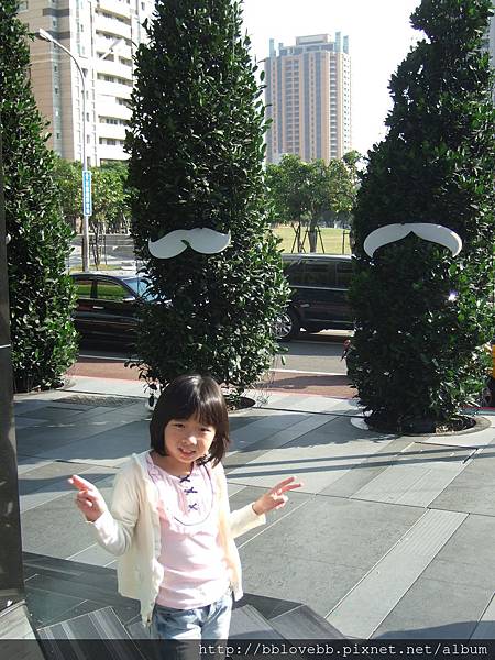 DSCF0351 DSCF0351