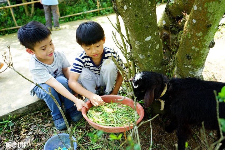 DSC08001 (2).JPG DSC08001 (2).JPG