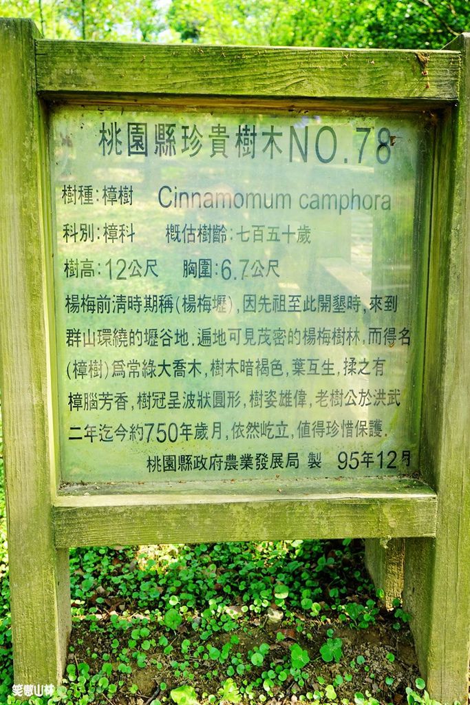 DSC08216.JPG DSC08216.JPG