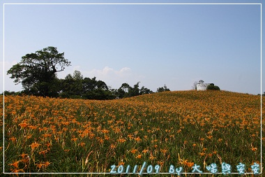 DPP_0112.jpg DPP_0112.jpg