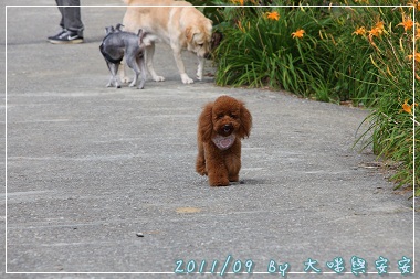 DPP_0130.jpg DPP_0130.jpg