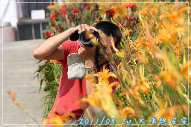 DPP_0148.jpg DPP_0148.jpg