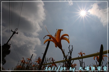 DPP_0151.jpg DPP_0151.jpg