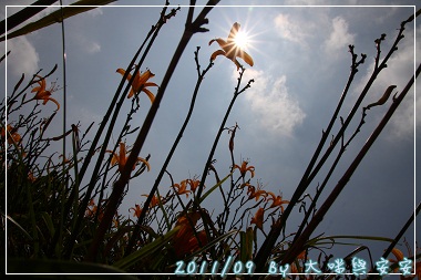 DPP_0154.jpg DPP_0154.jpg