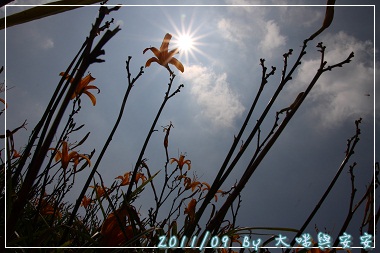 DPP_0153.jpg DPP_0153.jpg