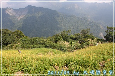 DPP_0168.jpg DPP_0168.jpg