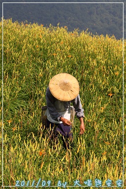 DPP_0159.jpg DPP_0159.jpg