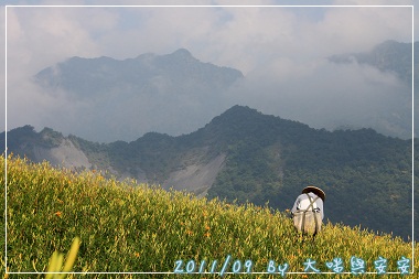 DPP_0171.jpg DPP_0171.jpg