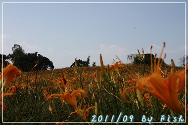 IMG_3724.jpg IMG_3724.jpg