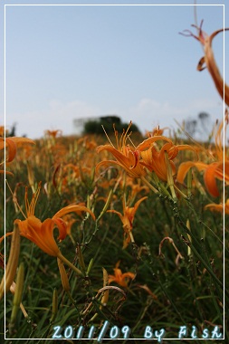 IMG_3723.jpg IMG_3723.jpg