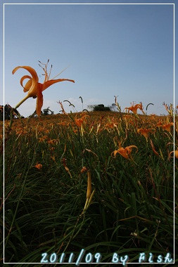 IMG_3727.jpg IMG_3727.jpg