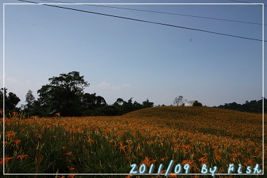 IMG_3728.jpg IMG_3728.jpg