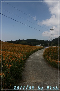 IMG_3729.jpg IMG_3729.jpg