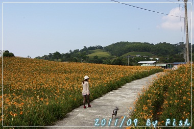 IMG_3742.jpg IMG_3742.jpg