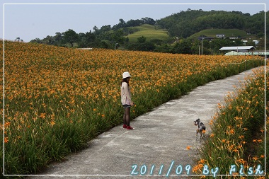 IMG_3743.jpg IMG_3743.jpg