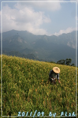 IMG_3778.jpg IMG_3778.jpg