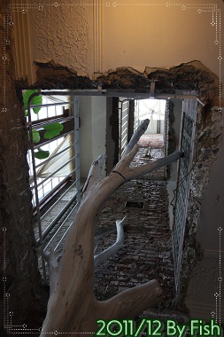 IMG_8030.jpg IMG_8030.jpg