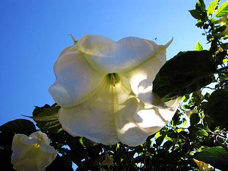 IMG_2392 IMG_2392
